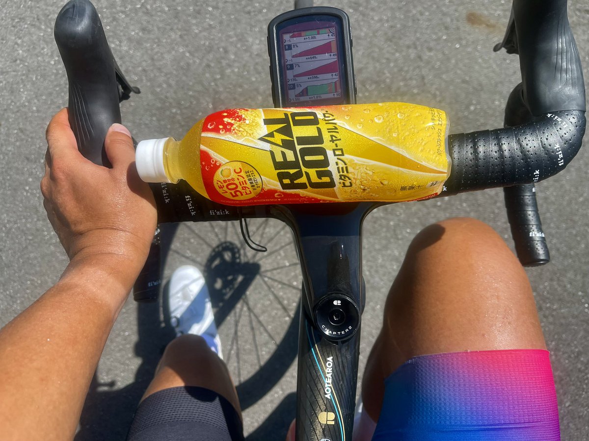 朝練40日目
しごおわが朝気味だったので予定変更でいつもの朝練。風が吹いてたからまだ走りやすかったけどさすがに滝汗びしょりまる。あしたは定峰行きたいなー。
今日のスカイツリー: 30%
今日のナ〜〜〜イス: 9本
今日の1分走: 3本
今日の滝汗: びしょりまる仙人モード
今日のドリンク: REAL GOLD