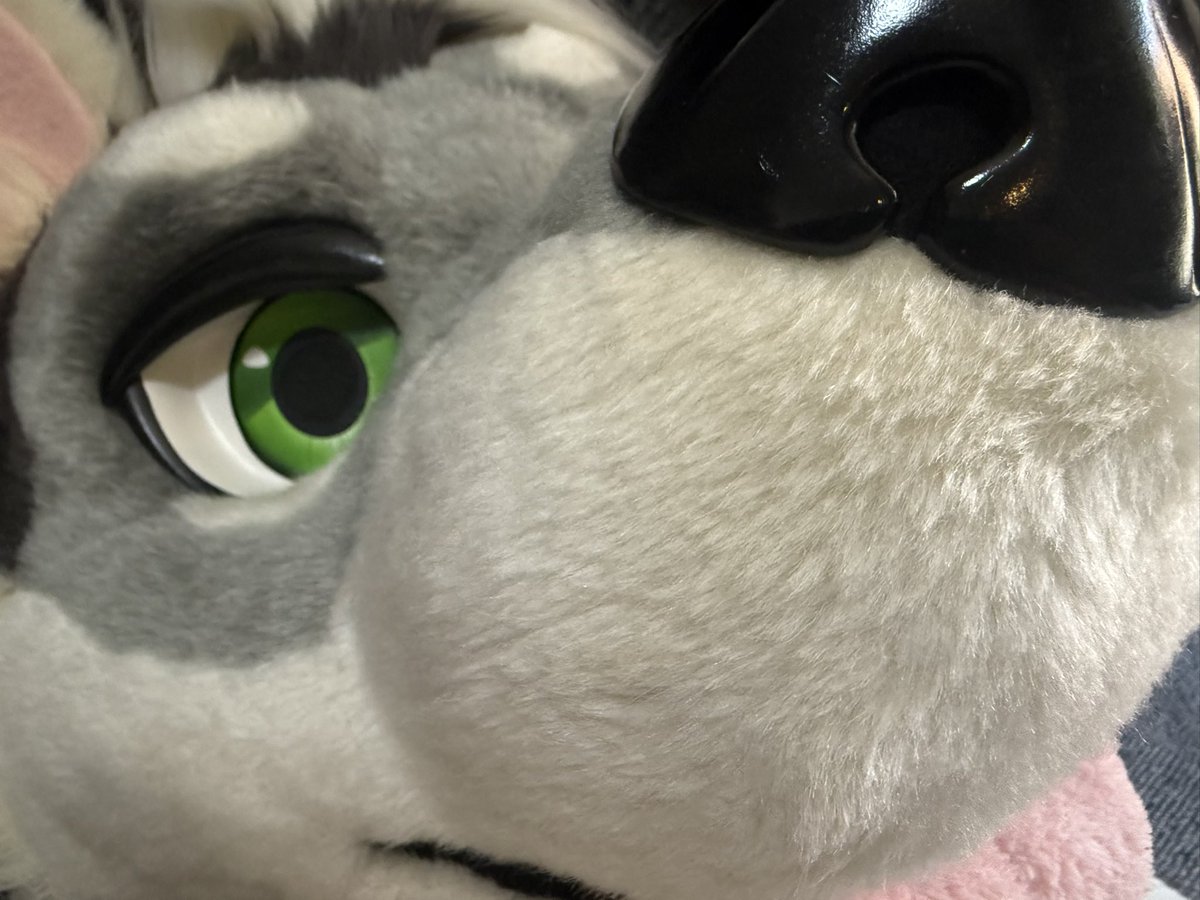 おはようございます( ˘ω˘ )