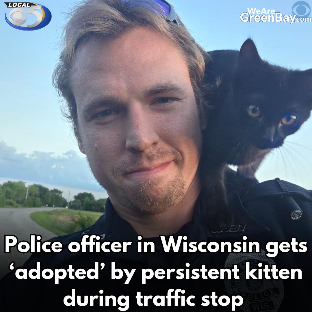 And yes, Officer Gottschalk did, in fact, adopt the persistent little kitty.

More on the wholesome interaction: shorturl.at/atHKK