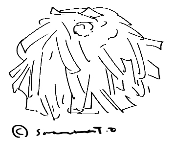 いかシューマイか練り切りか忘れた絵。