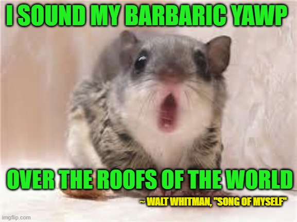ThomasGorey1's tweet image. #barbaricyawp #waltwhitman #songofmyself #deadpoetssociety #individuality #individualism #goingprimal #Unfiltered 

Going Primal
