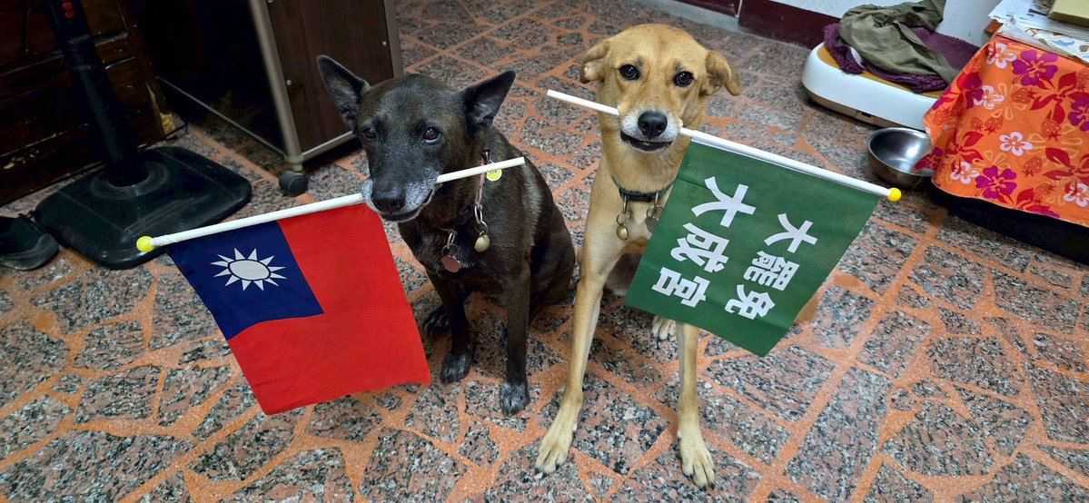 TaiwanSpecial's tweet image. It’s time!
Today Taiwan will show the world the beauty of democracy with Taiwanese characteristics!
As the great Nelson Mandela 納爾遜·曼德拉 once said:
“To be free is not merely to cast off one’s chains, but to live in a way that respects and enhances the freedom of others.”…