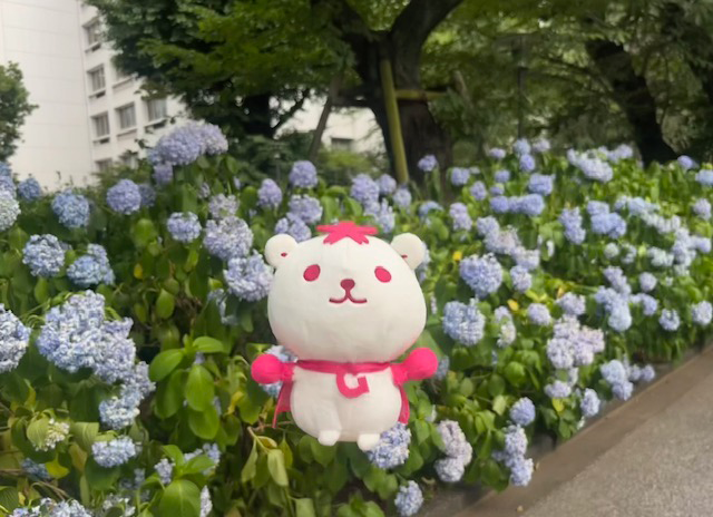 学習院大学広報大使 さくまサン (@Saku_Gakushuin) / Posts / X