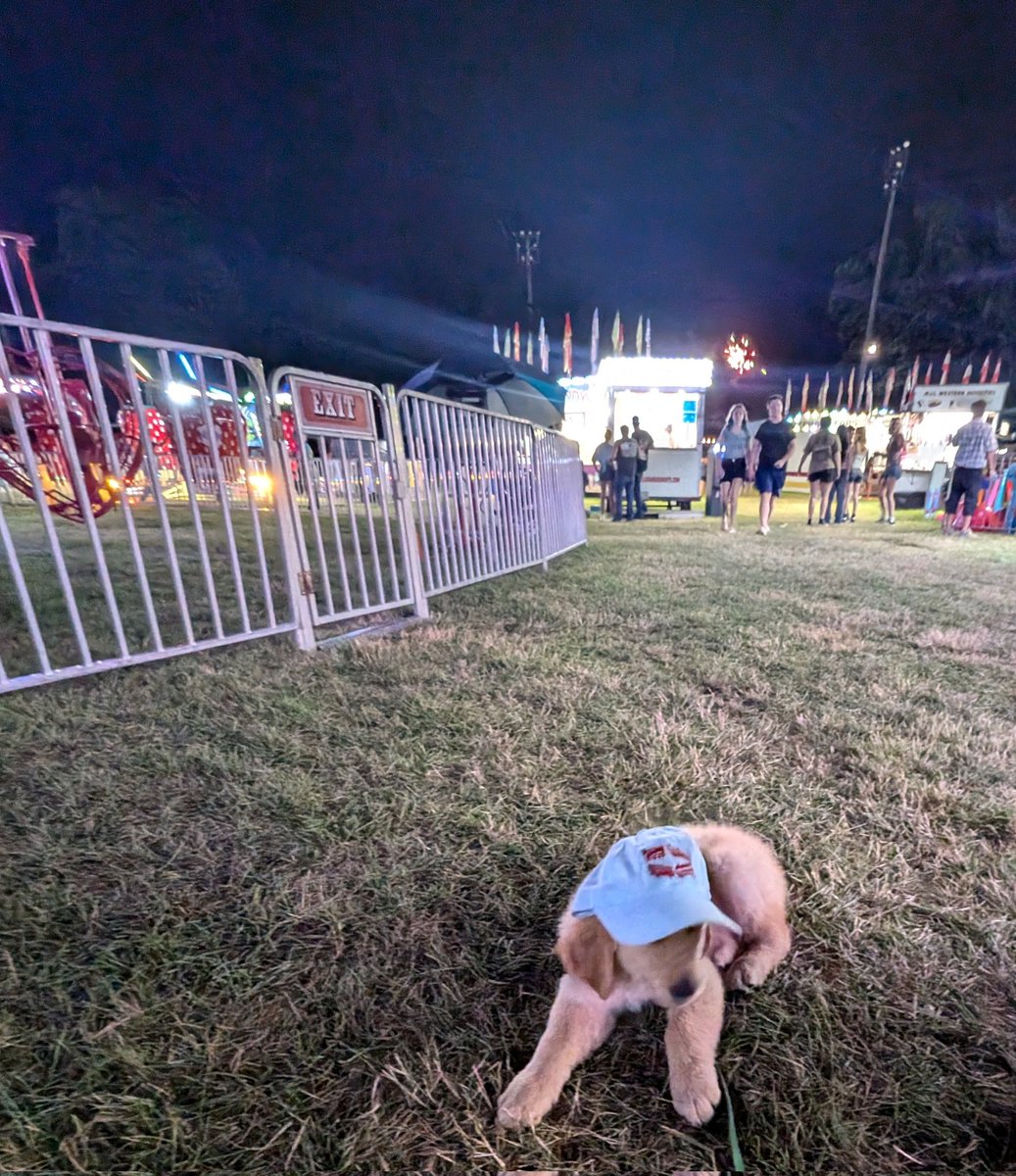 orb010's tweet image. Catfish Days Festival 

Legalize ground beef