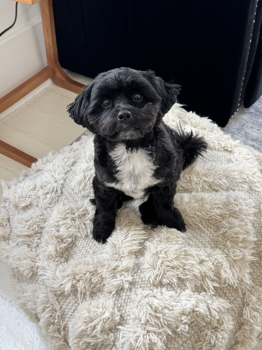 super sculptor Amy K Hucks tweet media