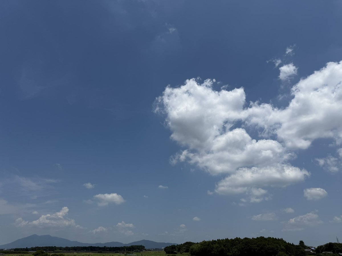 chiyo1028's tweet image. お昼休憩のウォーキング🚶♂️
麺活しようか悩みましたが…
歩いてきます♪
暑過ぎるので、今日はいつもより距離を短めに😅
行ってきます🫡
#イマソラ
