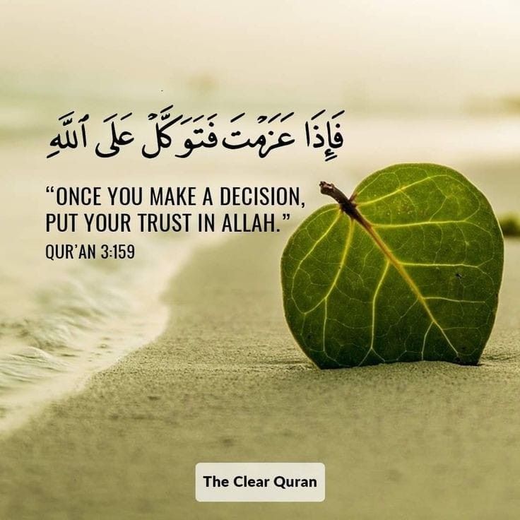 SemiSultan621's tweet image. Today Special🌹
💖💖💖💖💖💖