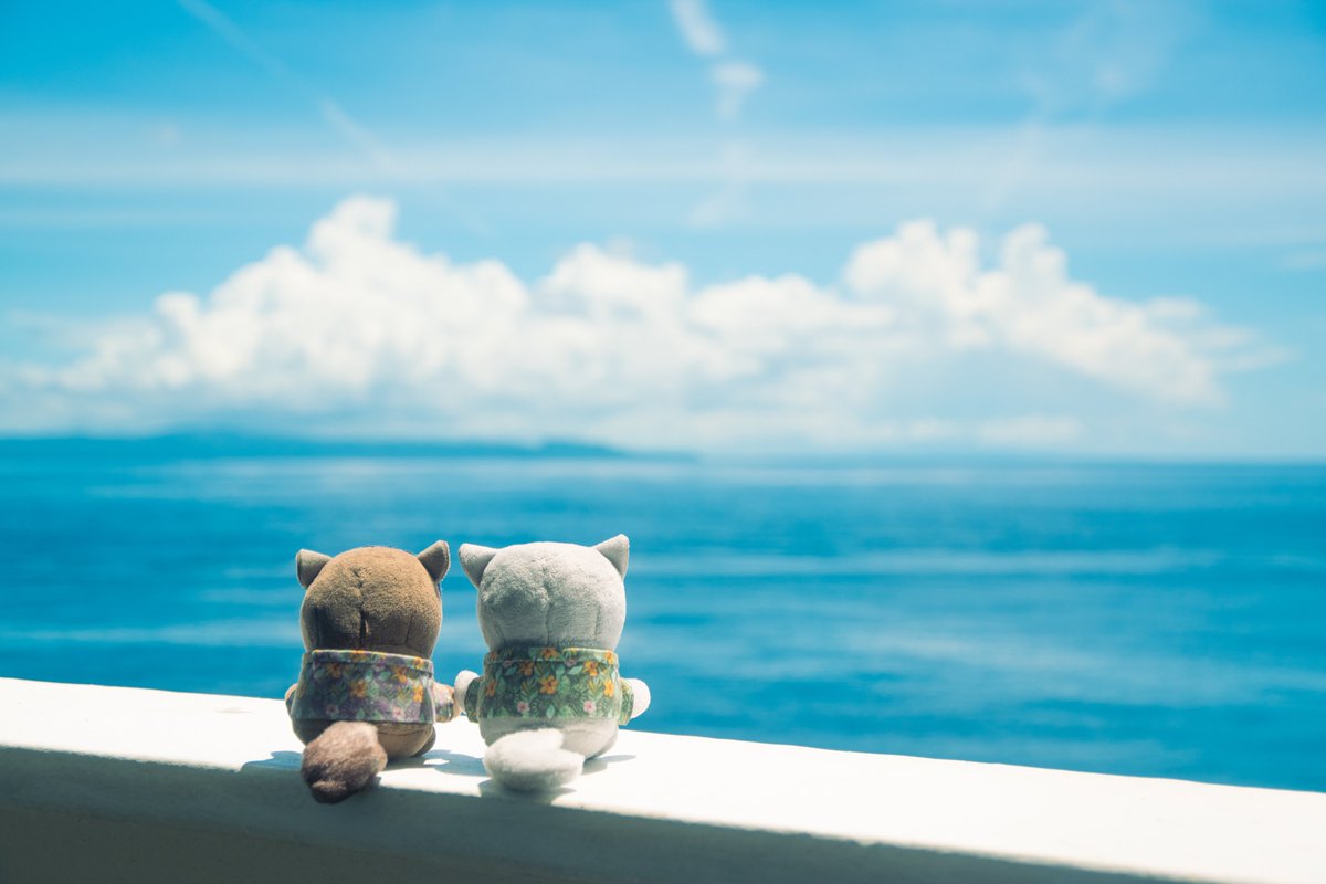 nui_and_photo's tweet image. 続・鹿児島の旅⛴️