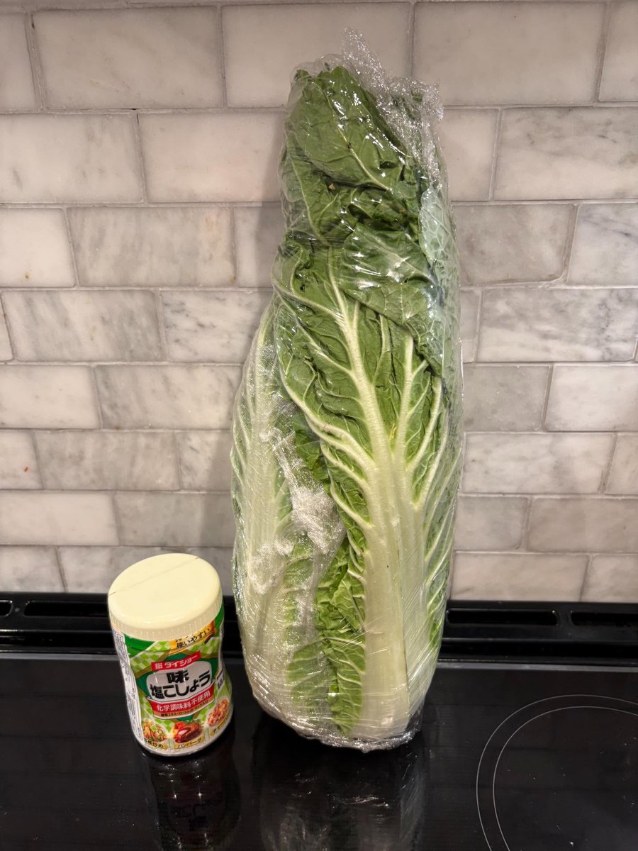 grapeejp's tweet image. で、でかすぎる…🤣
夫「これしかなかった…」 買ってきた食材に「強調がすごい」「もはや戦車の弾じゃん」
grapee.jp/2022370 @grapeejpより