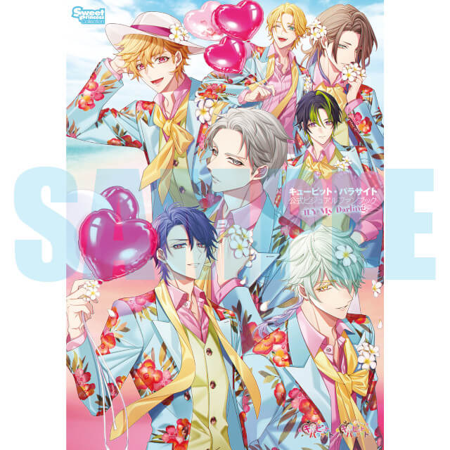 キューピットパラサイト 限定版　ステラセット　ブロマイド付き　Switch キューピット・パラサイト(通常版)☆特典付：Switch | ステラワース