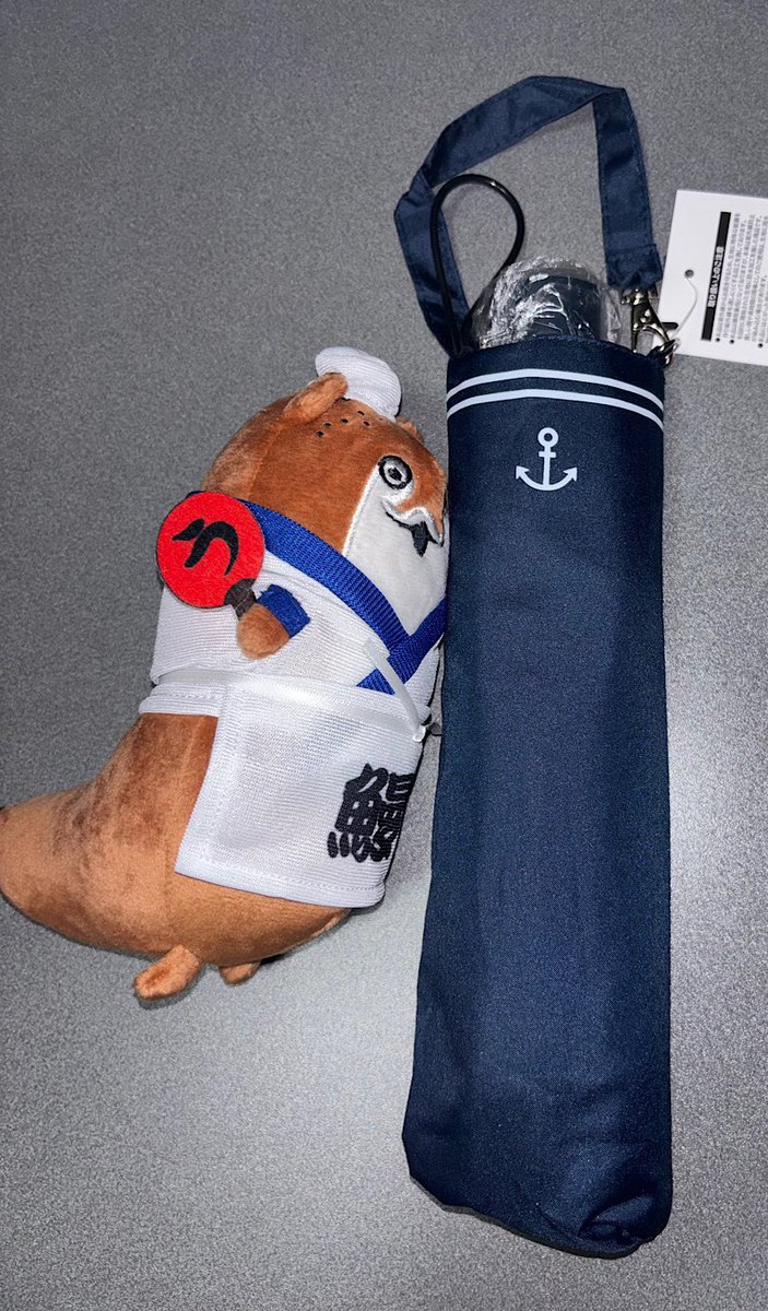 第六駆逐隊っぽい傘を日傘がわりに使えないだろうか