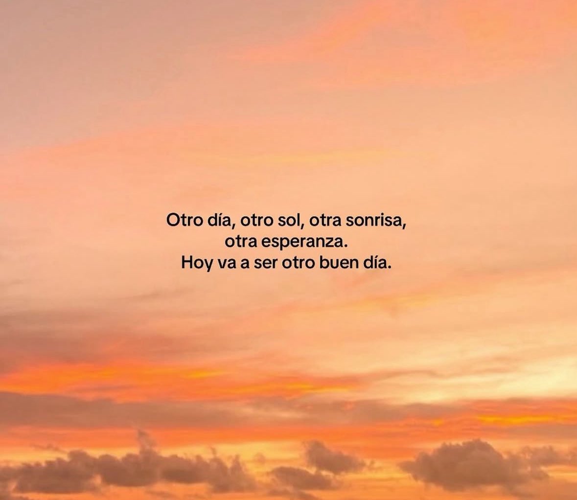 FraseSimple's tweet image. 