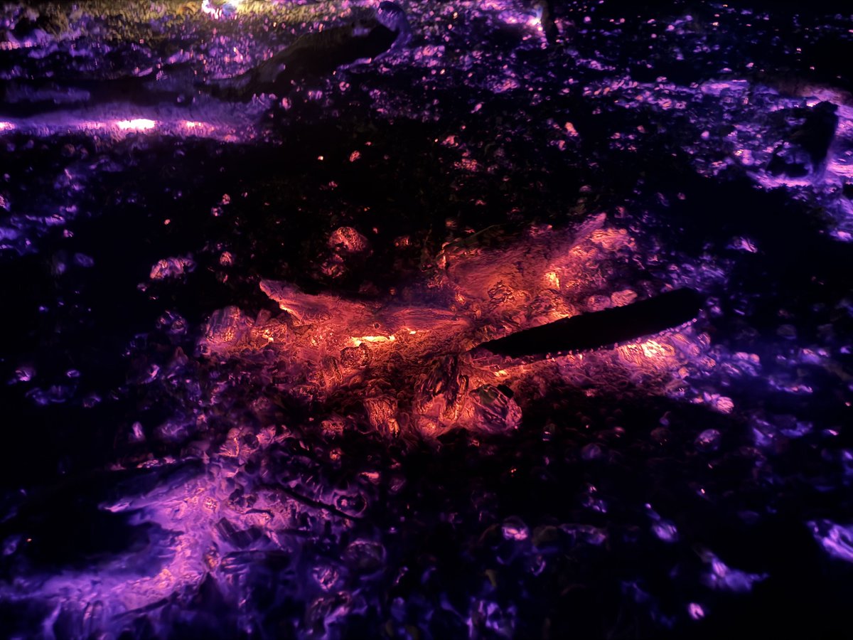 SillierThanMost's tweet image. Who up gazing at they embers?