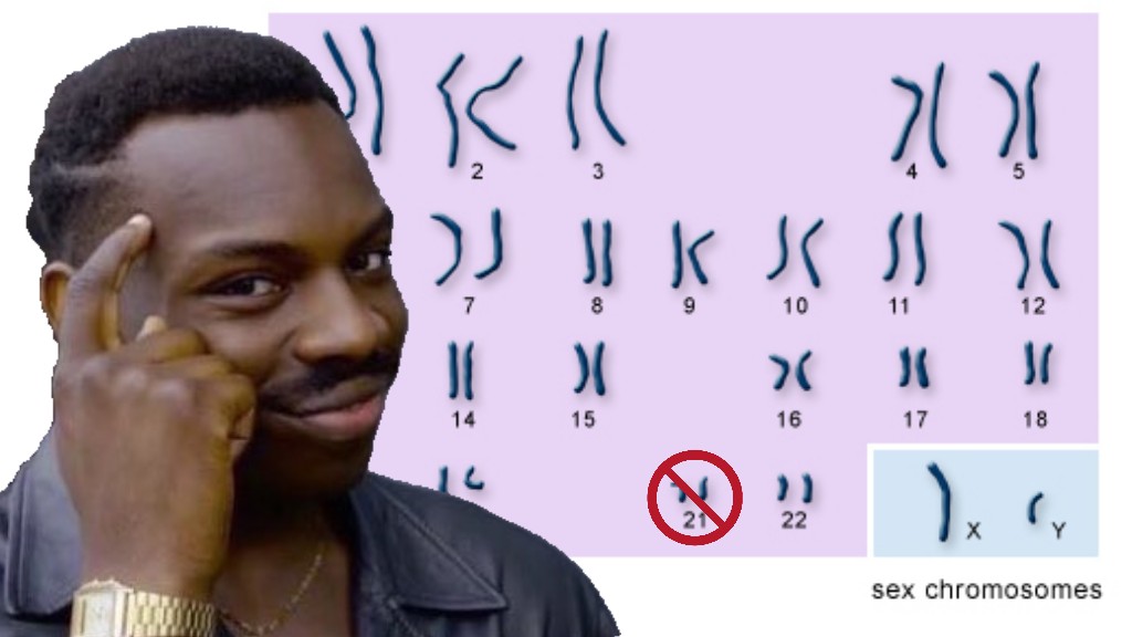 You can't have trisomy 21 if there's no more chromosomes 21