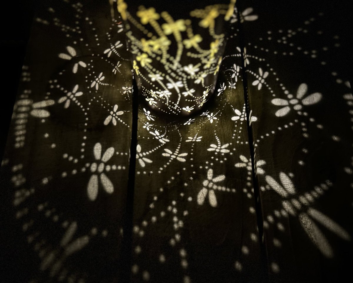 storiedhome's tweet image. It’s a magical kind of night. #dragonflies