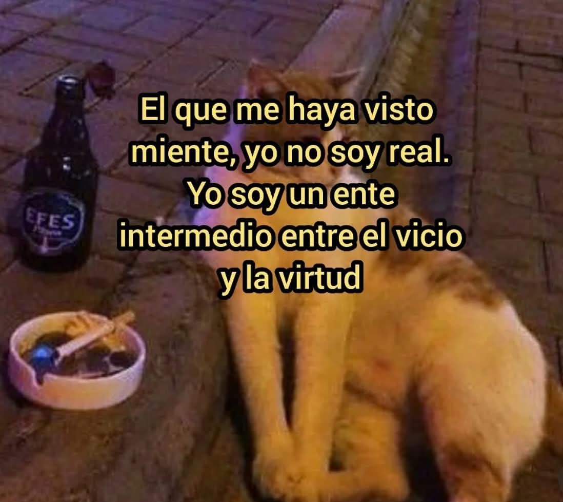bruja_pititis's tweet image. #Mienten
