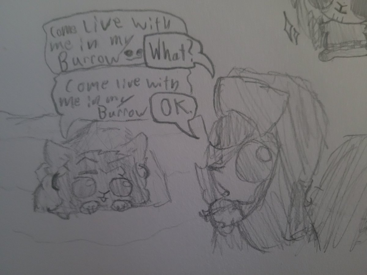 Elliott_drawsz's tweet image. waiter waiter more chipmunk alejordyn please
#ocxcc #ocxcanon #tdwt or something