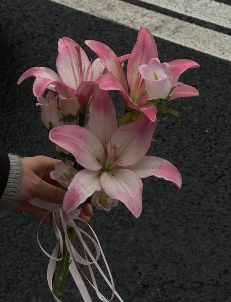 Flowers (@flowers489) on Twitter photo 