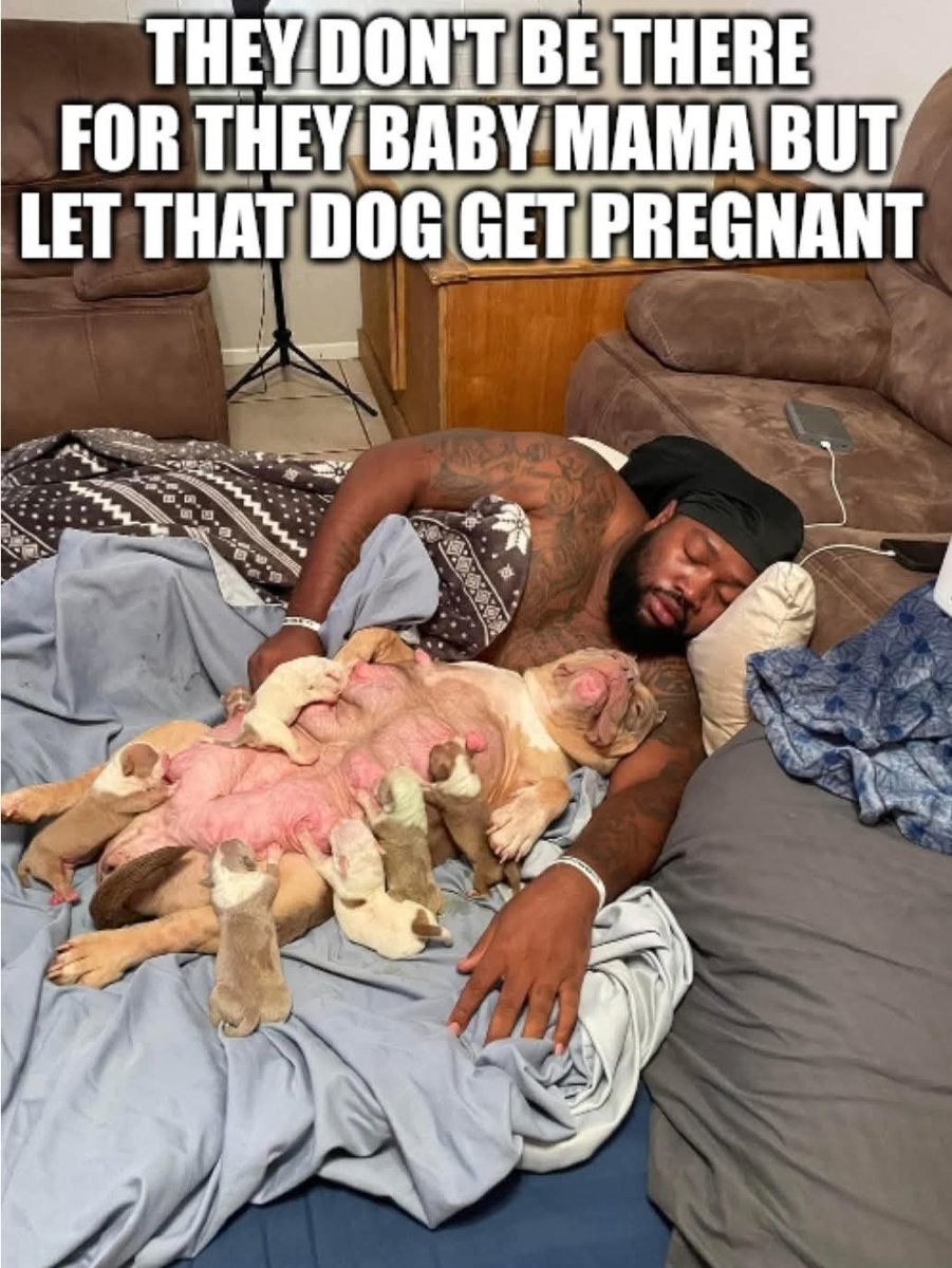 1stammendbckup2's tweet image. 