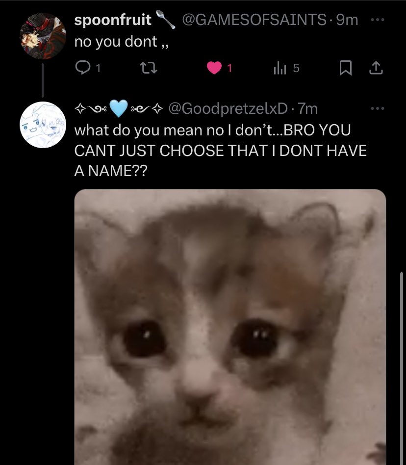 GoodpretzelxD's tweet image. Literally sobbing rn I lost the privilege of having a name #wokegonetoofar