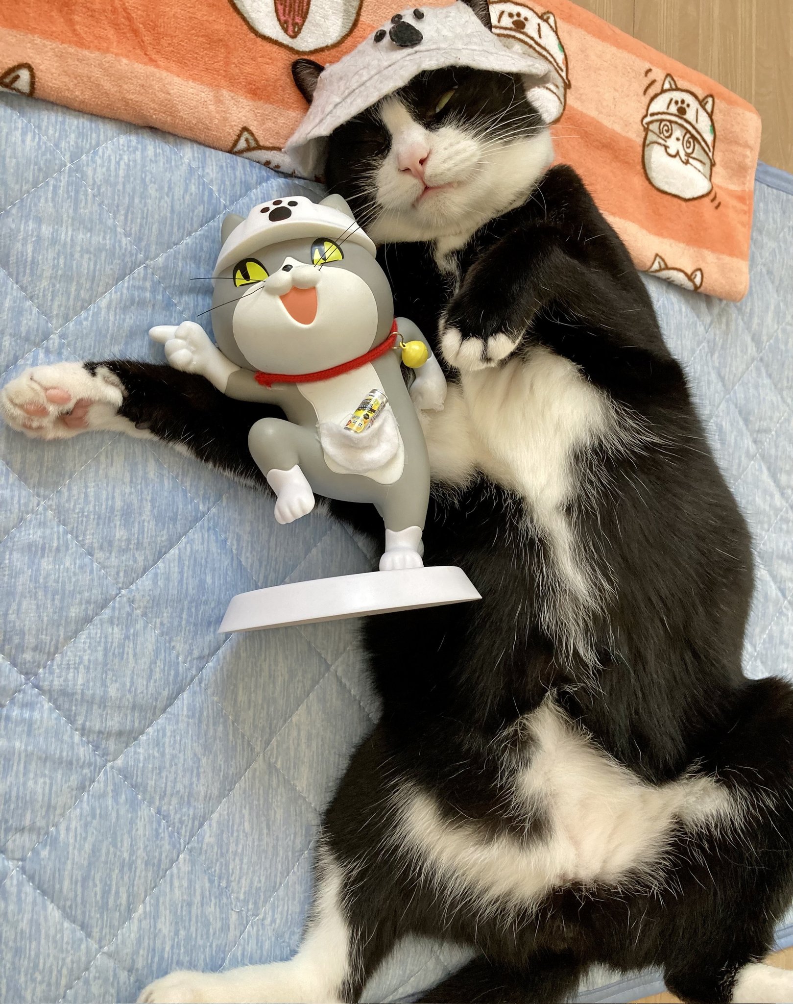 フェントン　猫 2025年最新】フェントン 猫の人気アイテム - メルカリ