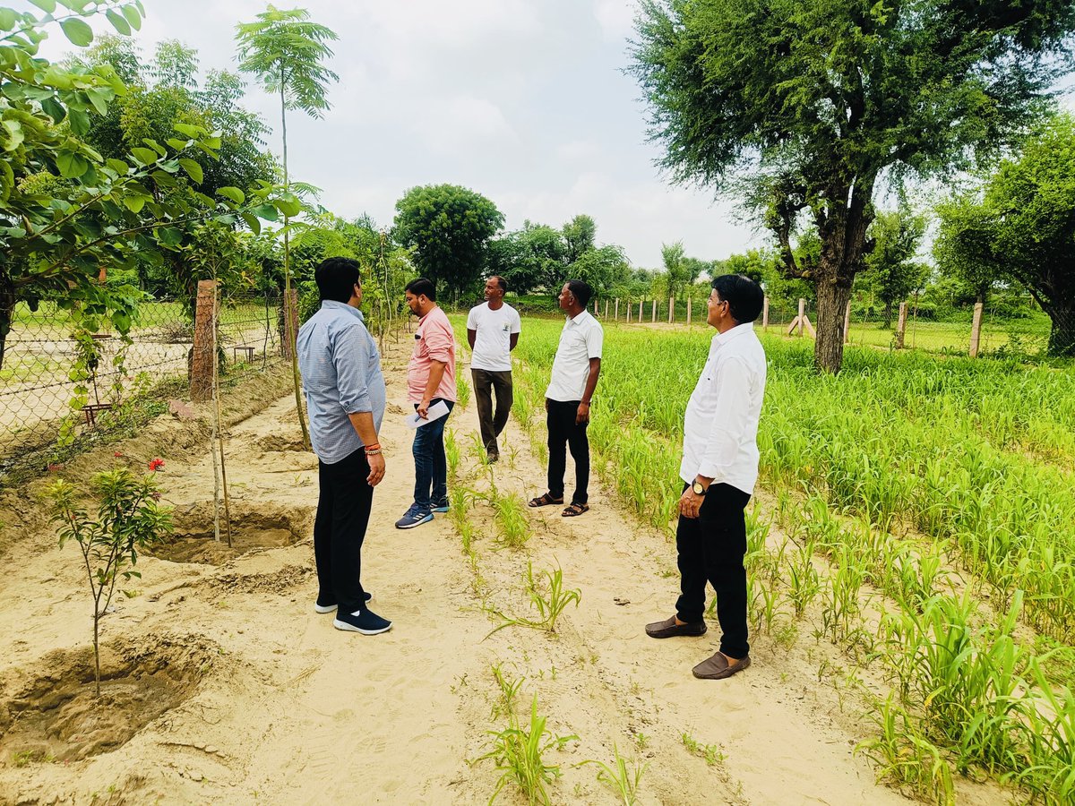 पुश्तैनी खेतों की ओर रुख किया,
जहाँ हवा में अभी भी बाजरे की खुशबू बसी थी।

बुहाई हुई फसल की सुनहरी मुस्कान देखी,
जैसे पुरखों की मेहनत आज भी मिट्टी में बोल रही हो।

इन खेतों की हर बूँद में सुकून है,
जैसे मन को उसका अपना घर मिल गया हो।

#विकसित_जैतारण_खुशहाल_जैतारण #हर_घर_खुशहाली