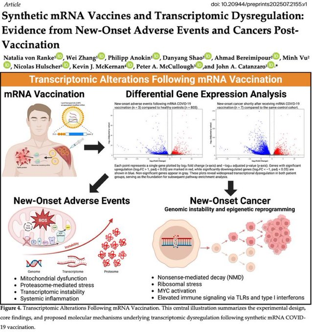 skymeds_store's tweet image. Dr. Fauci must be ARRESTED immediately for this. He vilified the unvaccinated because they didn’t want to get Cancer from his lethal ‘Covid Vaccine’.
“Synthetic mRNA Vaccines from new adverse events and Cancer…” -Nicholas Hulscher
THIS is a Biological War Crime.