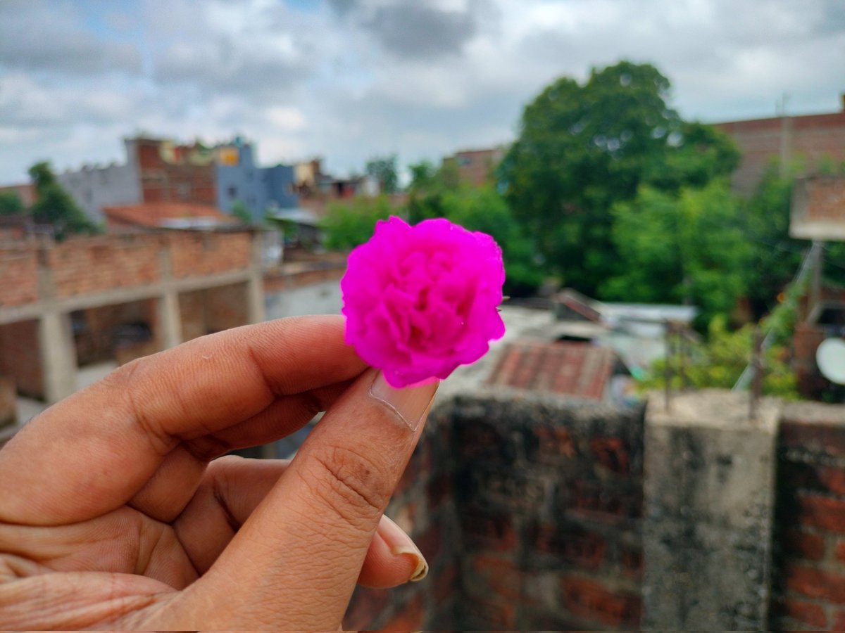 MukAn_X's tweet image. मोहब्बत मौसमों की मोहताज नहीं,
पर सावन तो बस महबूब के ही लिए आता है।
सुबह-सुबह आप साथियों की याद आ गई प्रणाम।