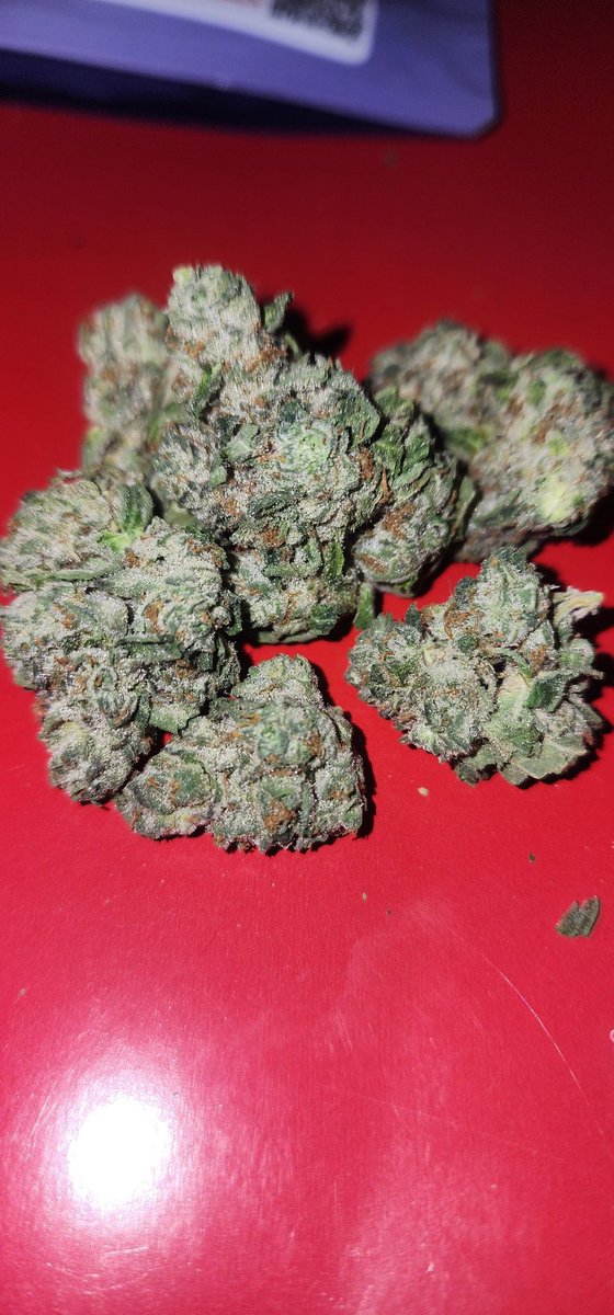 MrNoFoxGiven's tweet image. After melting away at the orioles game tonight and after a tough loss, its nice to come home to some fire green!!! @KindTreeCanna killed this one!!! #marylandcannabis