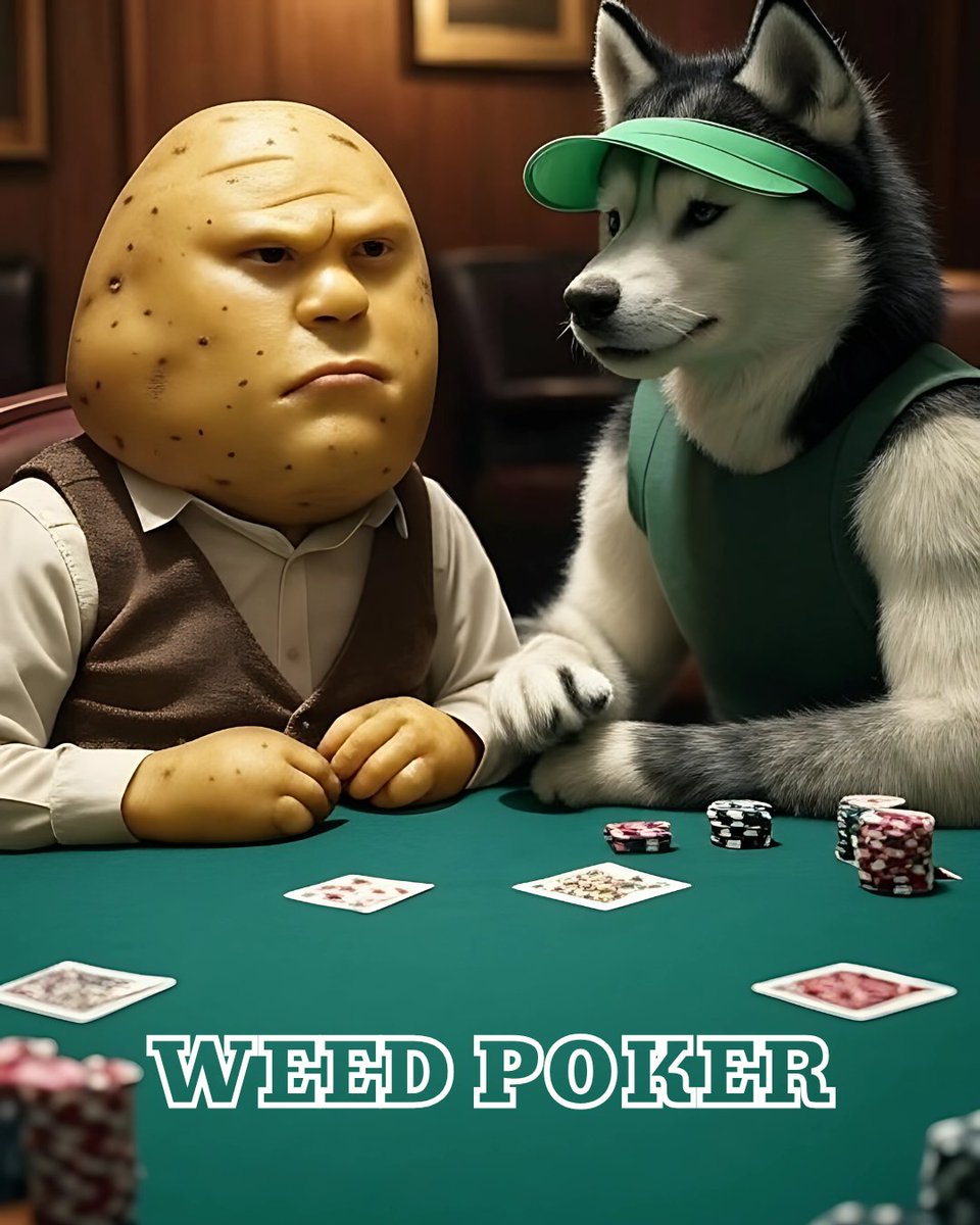 CardanoWEED's tweet image. We're playing poker on Saturday (7/26/25) in the discord!
Buy-in: 10 ADA
Start Time: 8PM PST
Tokens and NFTs in the pot!