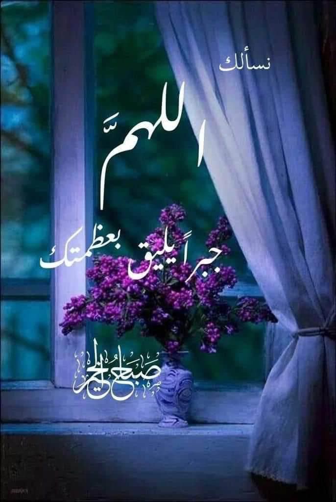 علي بن مسعود المعشني (@alibinmasoad) on Twitter photo 