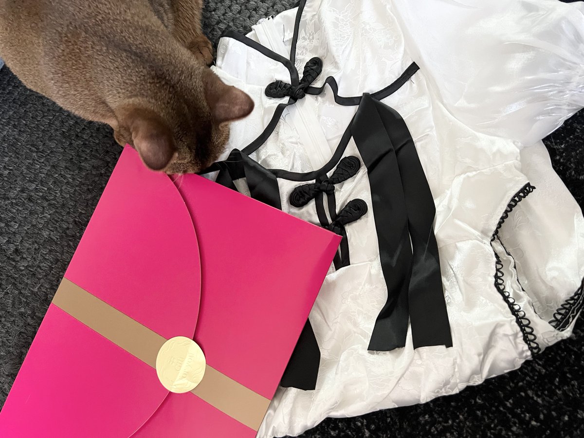 女帝なーさん🦄💓 (@nico_na0723) / Posts / X