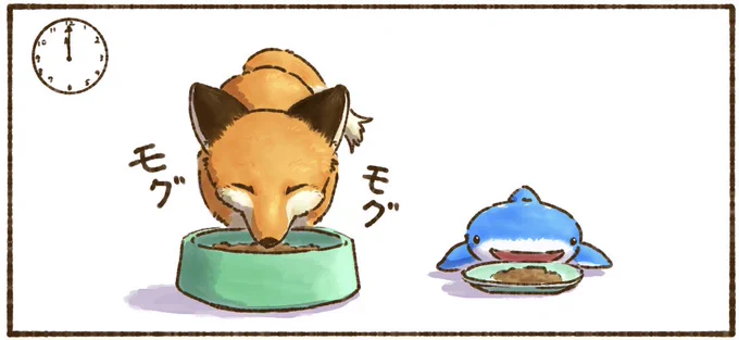 ジンベイザメと一緒にお昼ご飯🍚 