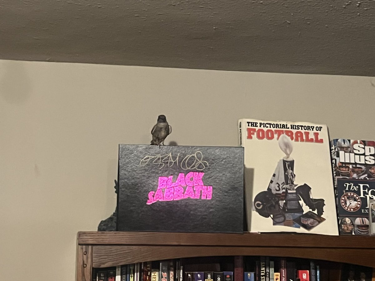 TodClark's tweet image. Stopped in Diablo’s Den on my way back to the house to grab a couple books and this guy flew in and I cannot get him to leave. @BlackSabbath @OzzyOsbourne