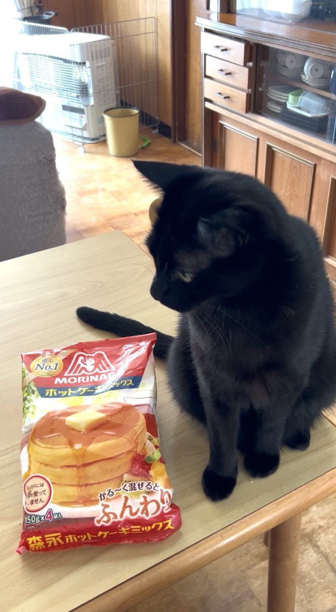 KuloxCha's tweet image. ジーー…              
ふわふわのホットケーキ食べたいね🥞✨🐈‍⬛