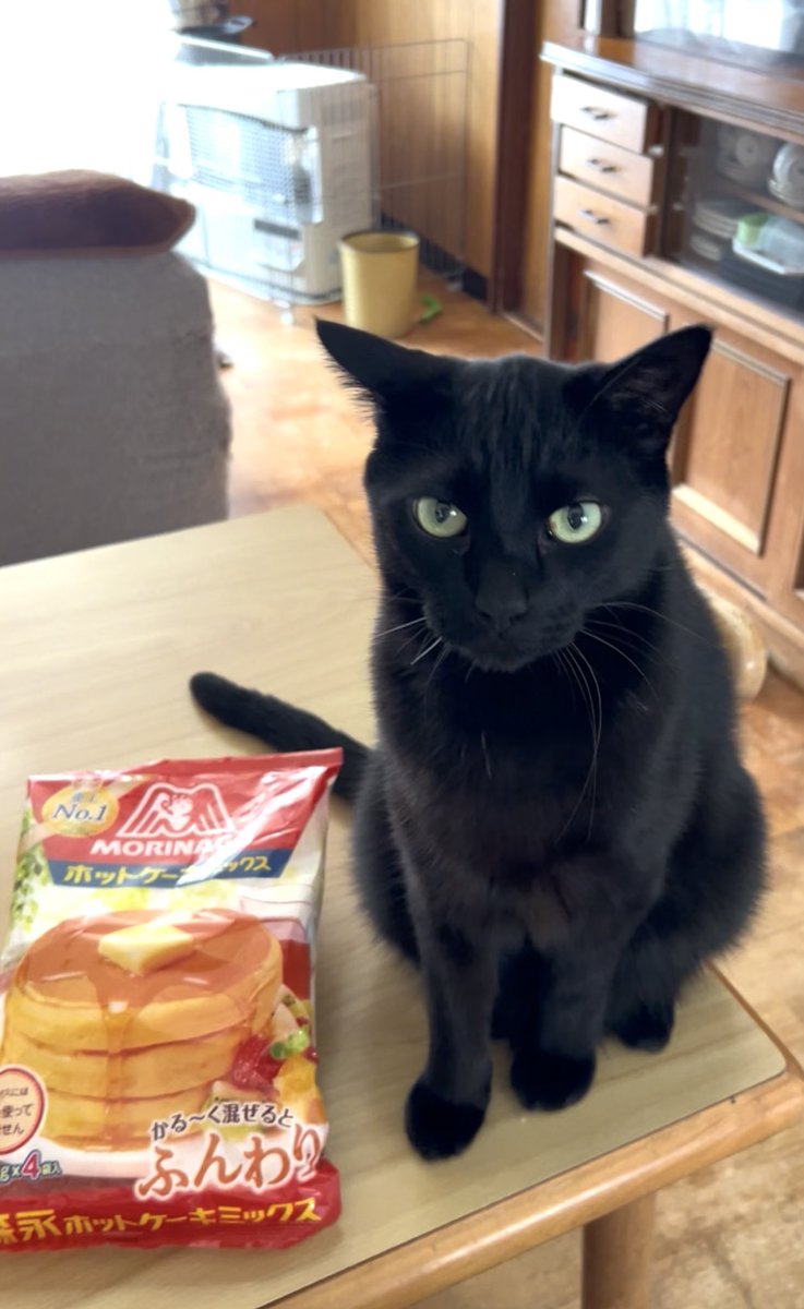 KuloxCha's tweet image. ジーー…              
ふわふわのホットケーキ食べたいね🥞✨🐈‍⬛
