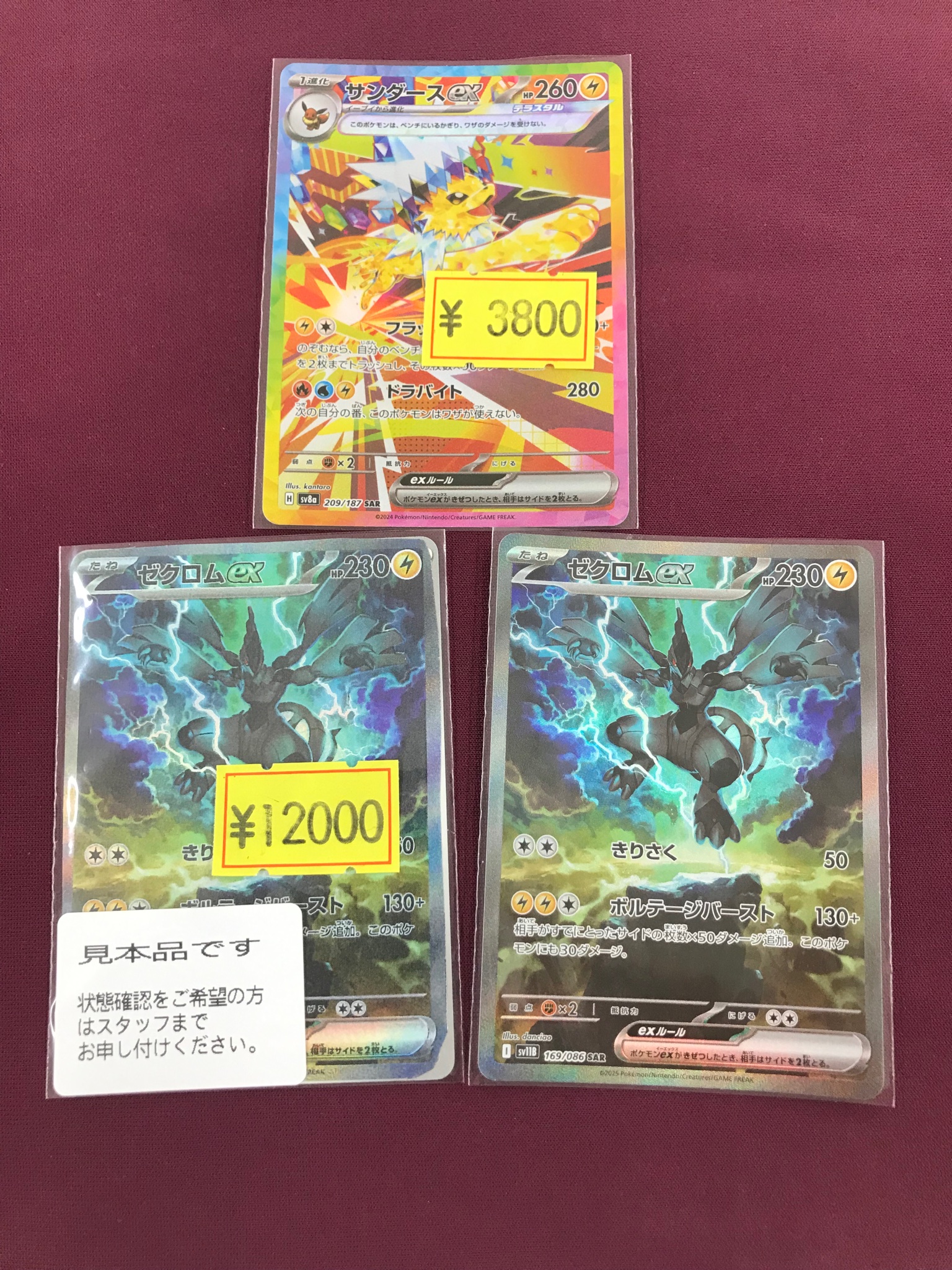 サンダースsar サンダーex【SAR】{204/165}