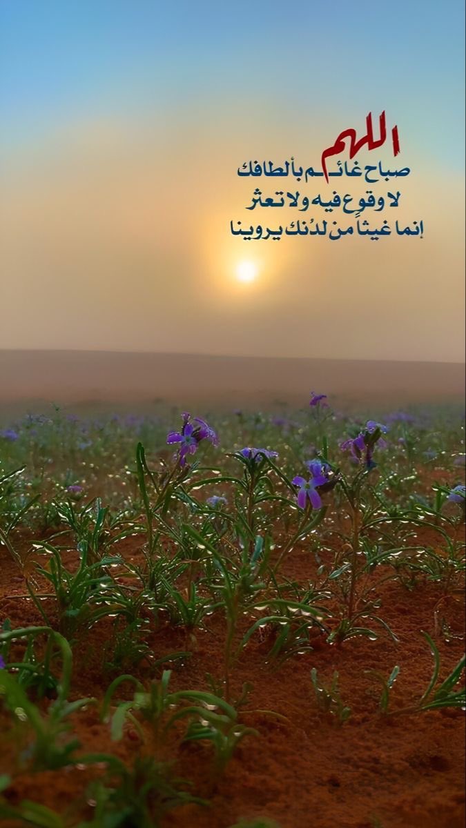 ASD771773's tweet image. #صباح_الخيرᅠ