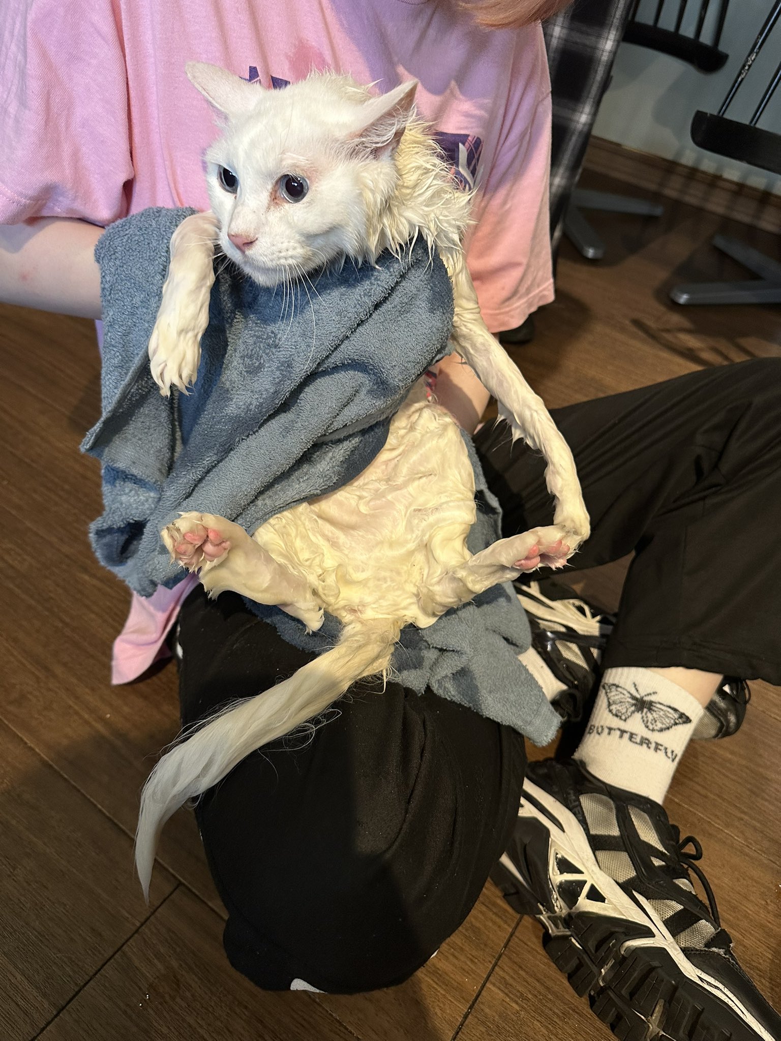 ふらんすねこ様♡ありがとうございます♡ 🐰おみ🐰 on X: 