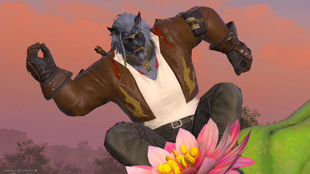 ryu_drago_ff14's tweet image. お金の力でばいーん🌵🦁🌵
手形多少貯めてたけど衝動買いしてしまった
#FF14 #ロスガル #アウラ