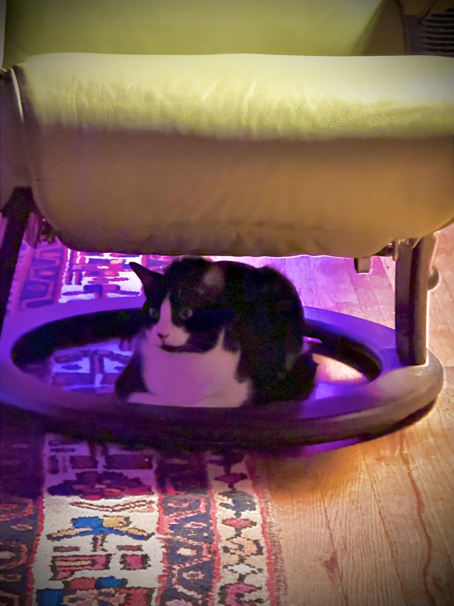 4zoyazu's tweet image. On guard