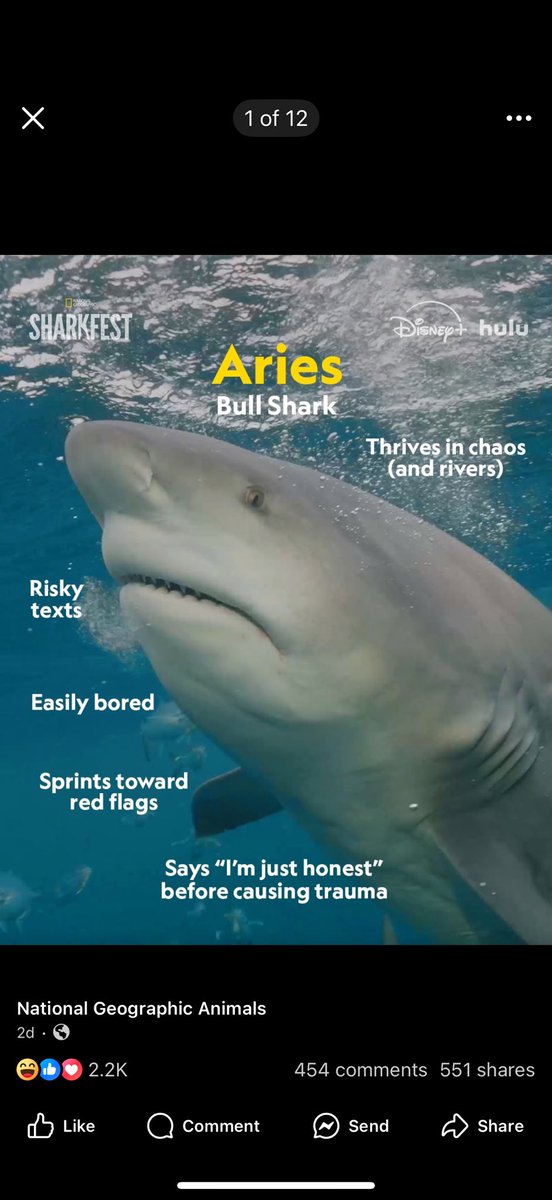 emob_'s tweet image. I feel so seen #SharkWeek @NatGeo