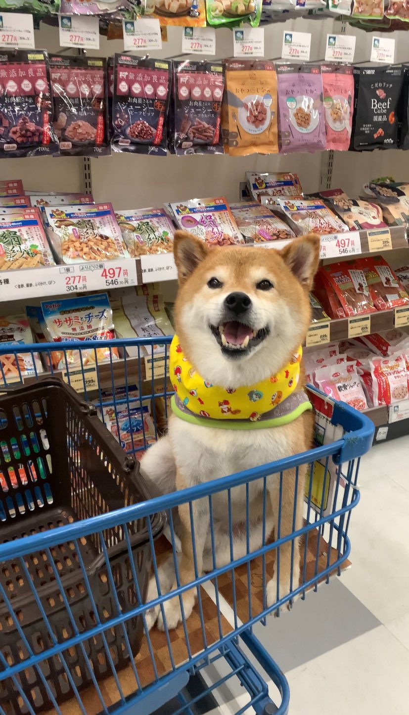 ⭐️Ginzi⭐️ (@48ginzi) / X