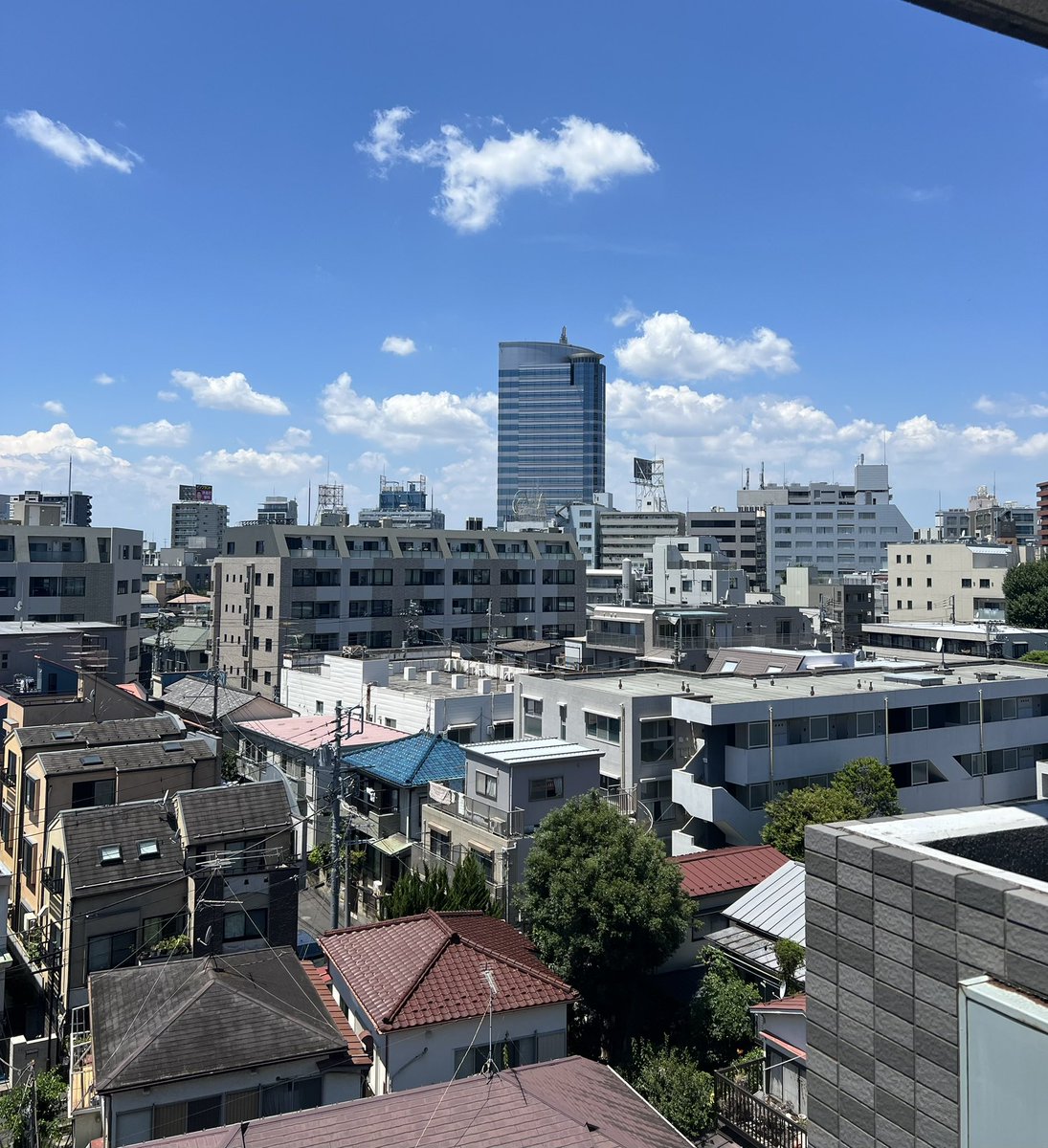mimozaTokyo's tweet image. こんにちは
お暑うございます。
いかがお過ごしでいらっしゃいますが?
昼下がりの外は? パチリッ!
今夜は隅田川花火大会ですので
楽しめますねー🎇
どうぞお気をつけてステキな週末を
お過ごしください♪