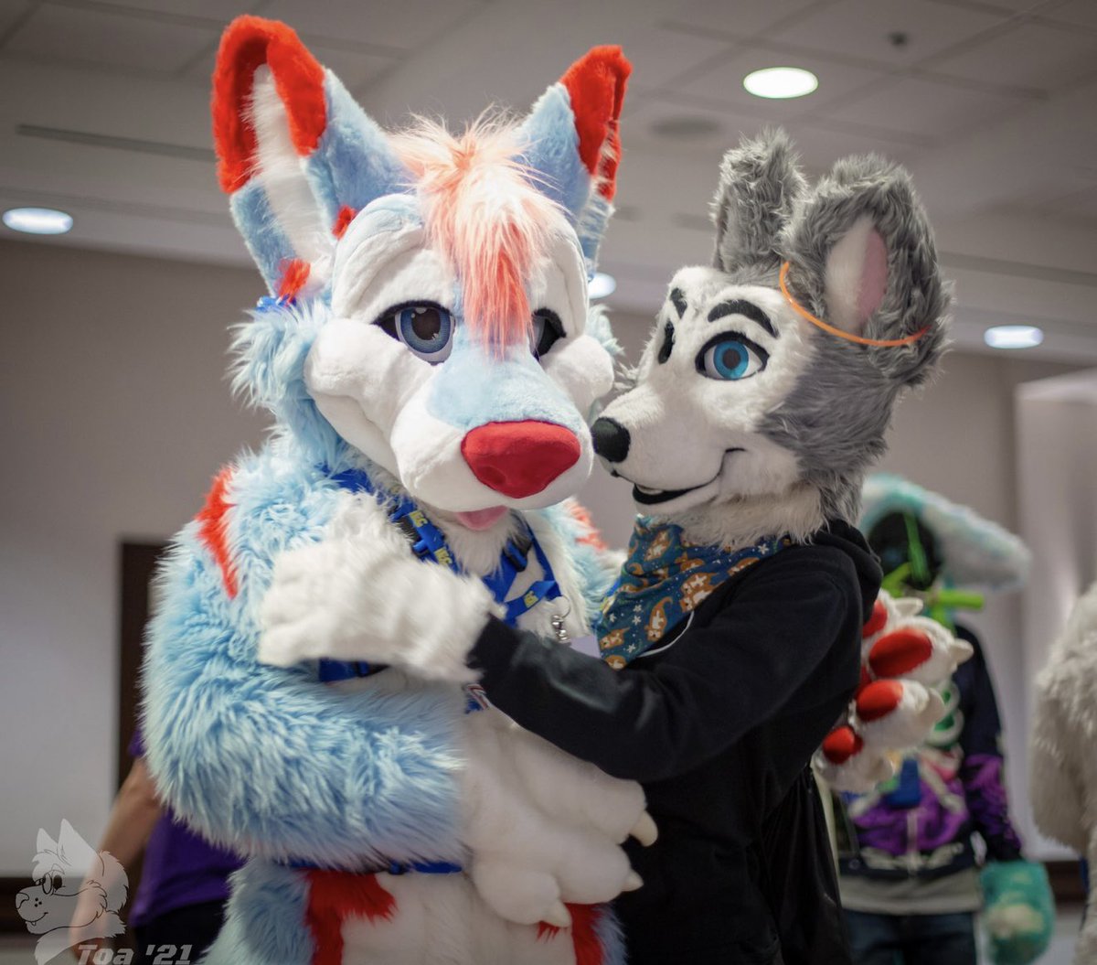 DaytonaHusky's tweet photo. Ooooo! I seen a cute @vexthehuski and now I gotta hug!🥺👉🏻👈🏻 

Can’t way nu to hugging this cutie!💙💙💙 

#FursuitFriday 

#Furry #Husky #Fursuiters #FurryPride #Fursuiting #FurryPride #HuskyButt #Fursiter #FurryFamdom 

📸: @MegaToaX 
📍: IFC 2021 Indianapolis, Indiana 
✂️: @MoreFurLess & @arcadianatelier