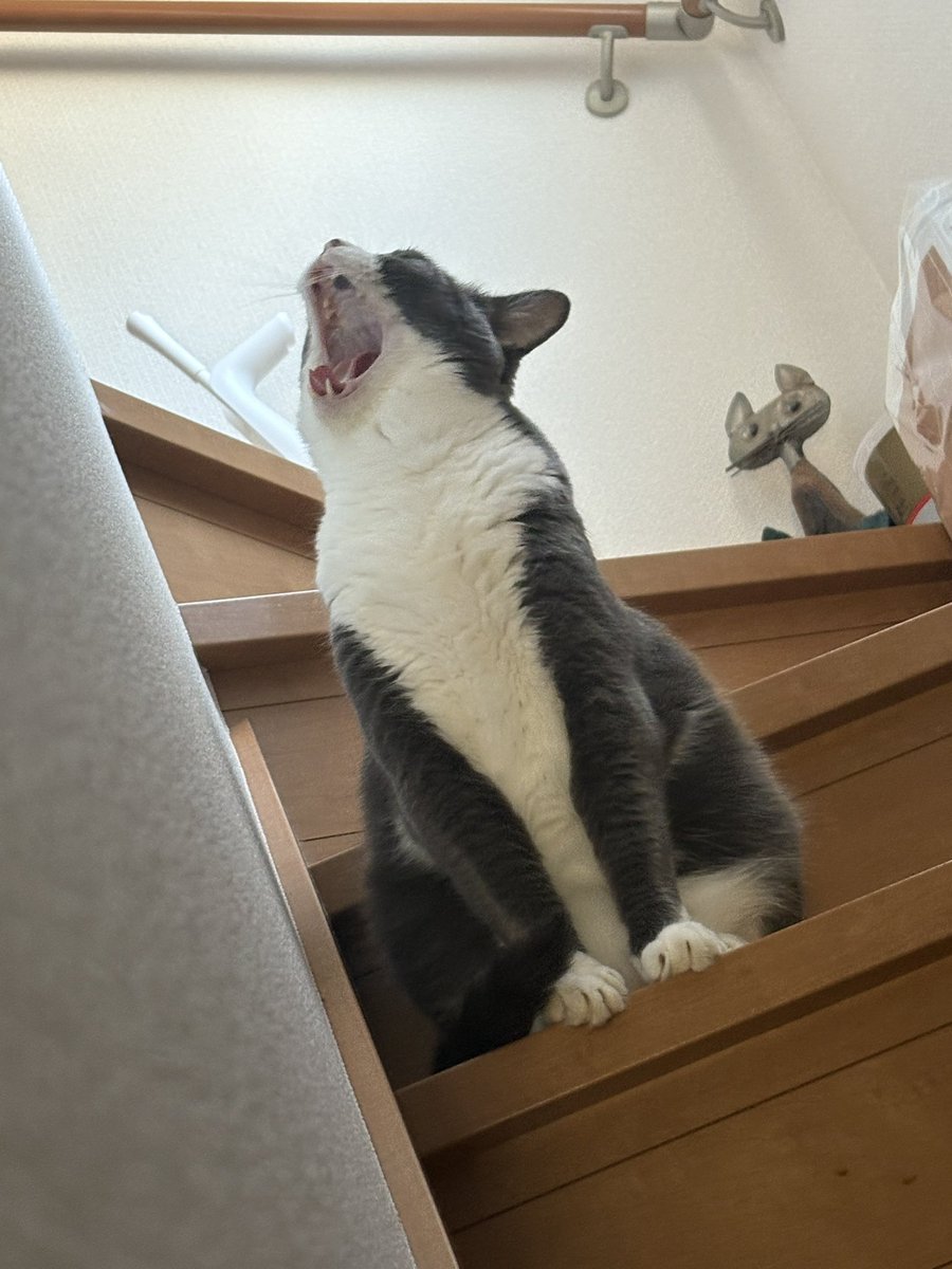 4fRGMdcLKc8SJFr's tweet image. 盗撮