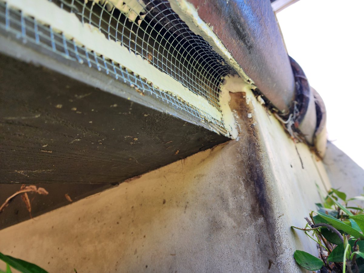 Insect & Rodent Solutions (@InsectRodent) / Posts / X