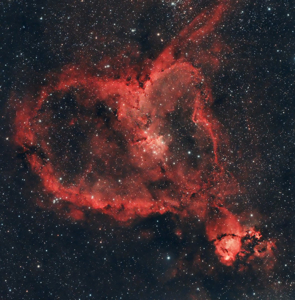RayM5666's tweet image. It's cloudy so I am working on shooting new calibration frames for the L-Ultimate Filter and looking at old data to re-process since I've gained some more tools. This is the Heart Nebula from last year. I was able to bring out more details and outer nebulosity.