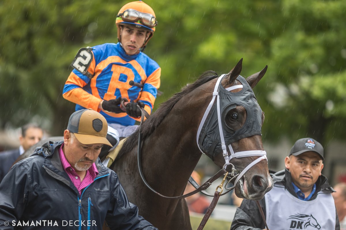 sdeckerphoto's tweet image. The 2023 edition of the Jim Dandy was won by champion two-year-old male Forte, who is now in his second year at stud at @spendthriftfarm.