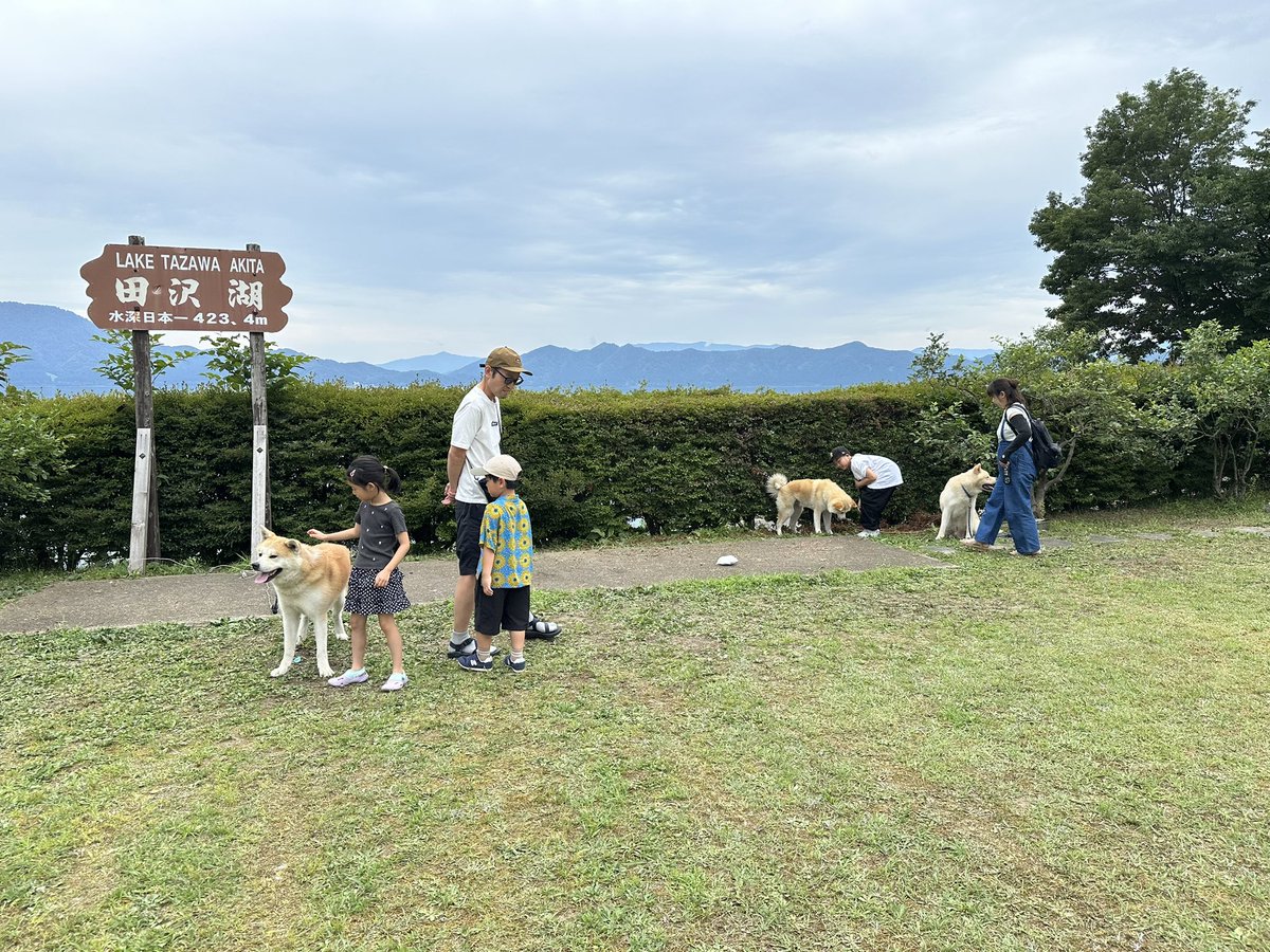 tazawako's tweet image. 【秋田犬保存会秋田県南支部】
場所:田沢湖レストハウス芝生広場
展示ふれあい時間:11時~15時
かわいい子犬も遊びに来るそうですよ♪
#423m
#仙北市
#田沢湖
#たざわ湖龍神まつり